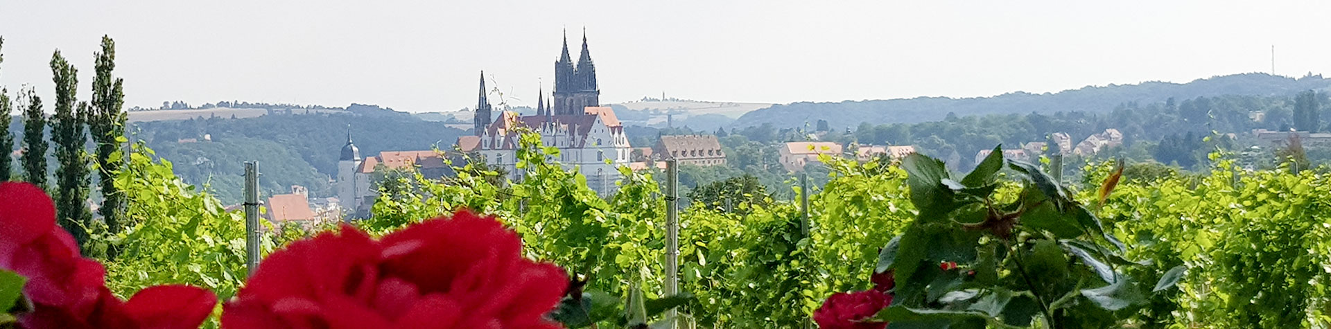 Schloss Proschwitz - Hochzeit im Weinberg